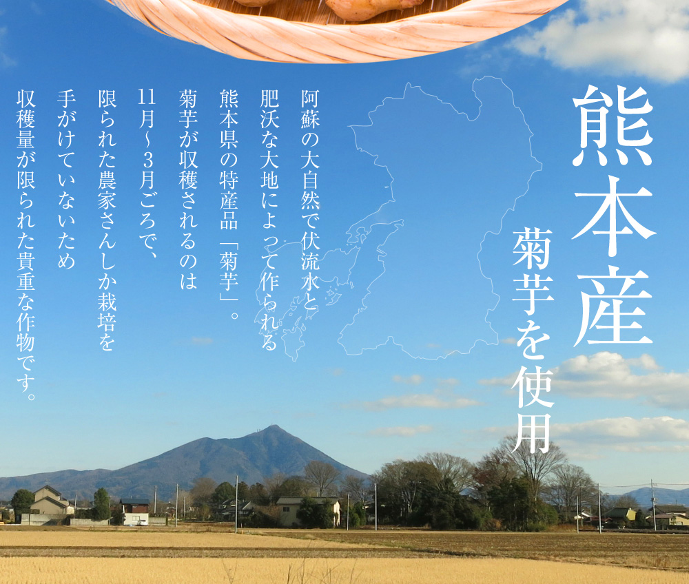 熊本産菊芋を使用。阿蘇の大自然で伏流水と肥沃な大地によって作られる熊本県の特産品「菊芋」。菊芋が収穫されるのは3月〜11月ごろで、限られた農家さんしか栽培を手がけていないため収穫量が限られた貴重な作物です。