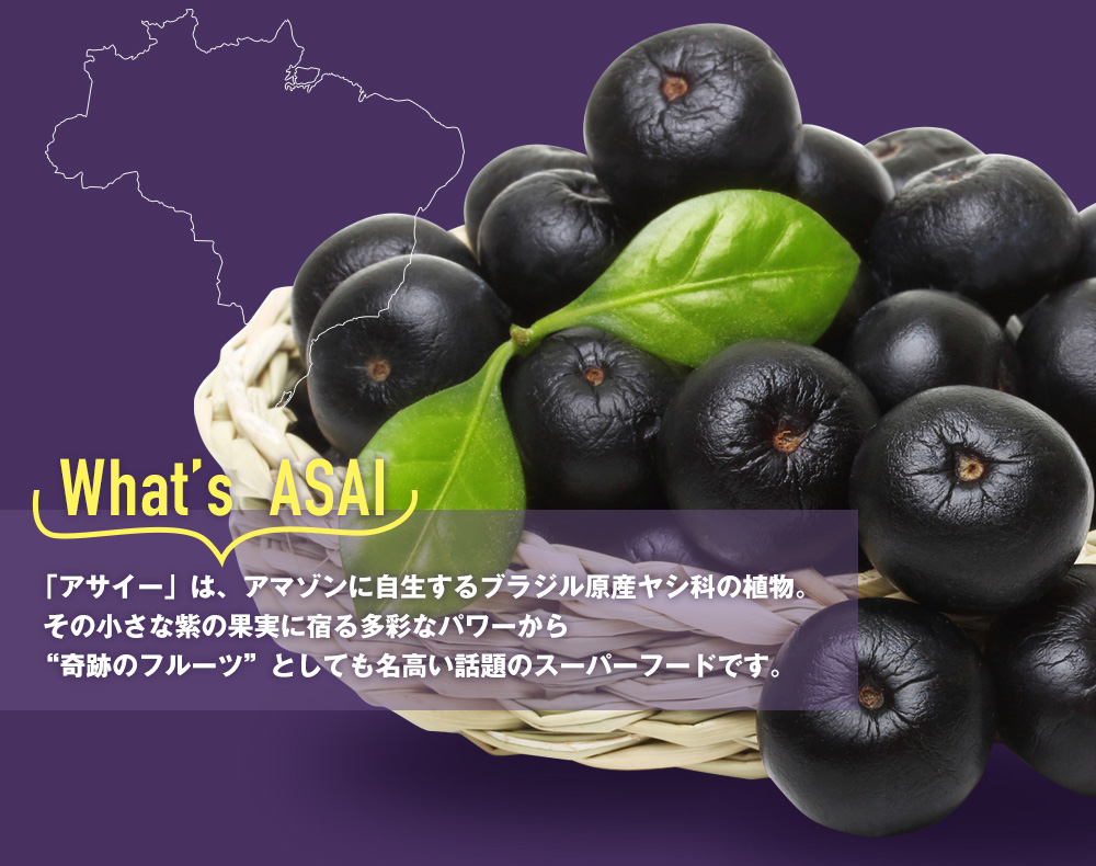 「アサイー」は、アマゾンに自生するブラジル原産ヤシ科の植物。 その小さな紫の果実に宿る多彩なパワーから “奇跡のフルーツ”としても名高い話題のスーパーフードです。