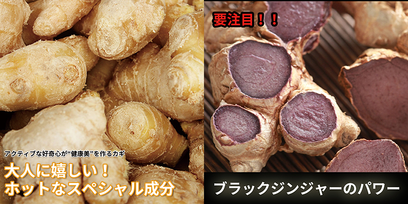 ブラックジンジャー