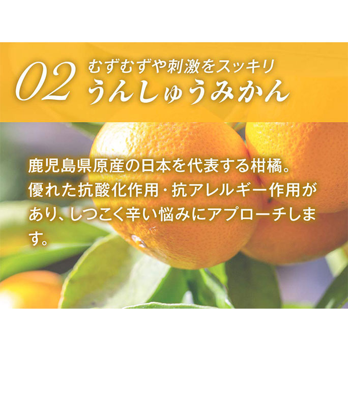 うんしゅうみかん。鹿児島県原産の日本を代表する柑橘。優れた抗酸化作用・抗アレルギー作用があり、しつこく辛い悩みにアプローチします。