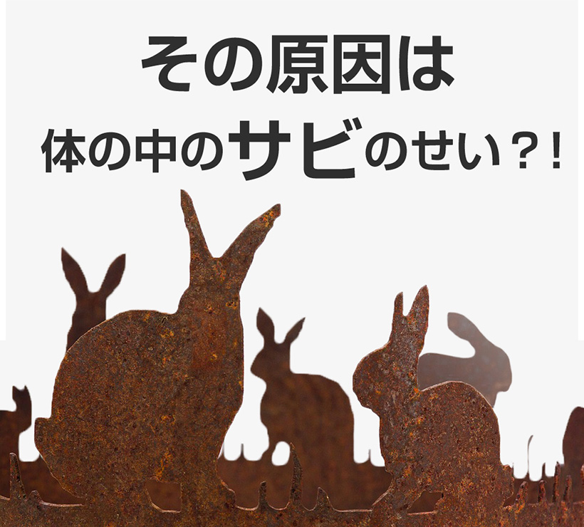 その原因は体のサビのせい?