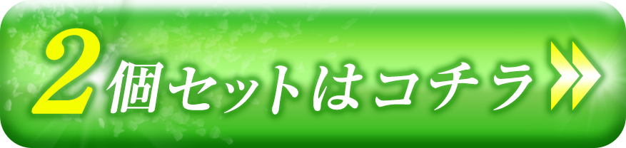 ２個セットを購入する