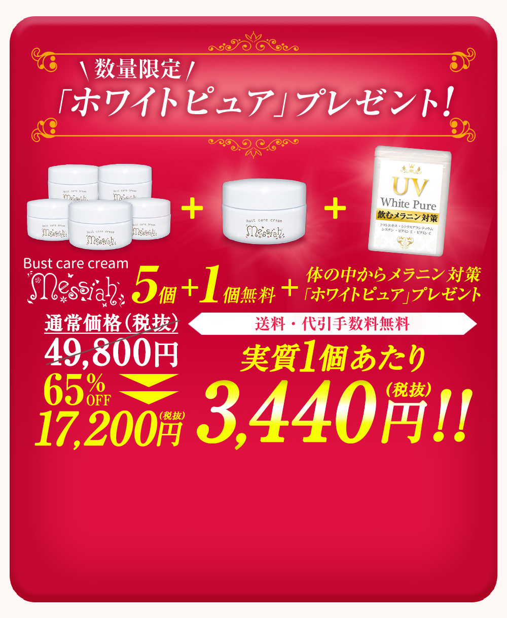 5個＋1個＋ホワイトピュア1袋プレゼントセット　通常価格49,800円が65％OFFの17,200円（税抜）　送料・代引手数料無料