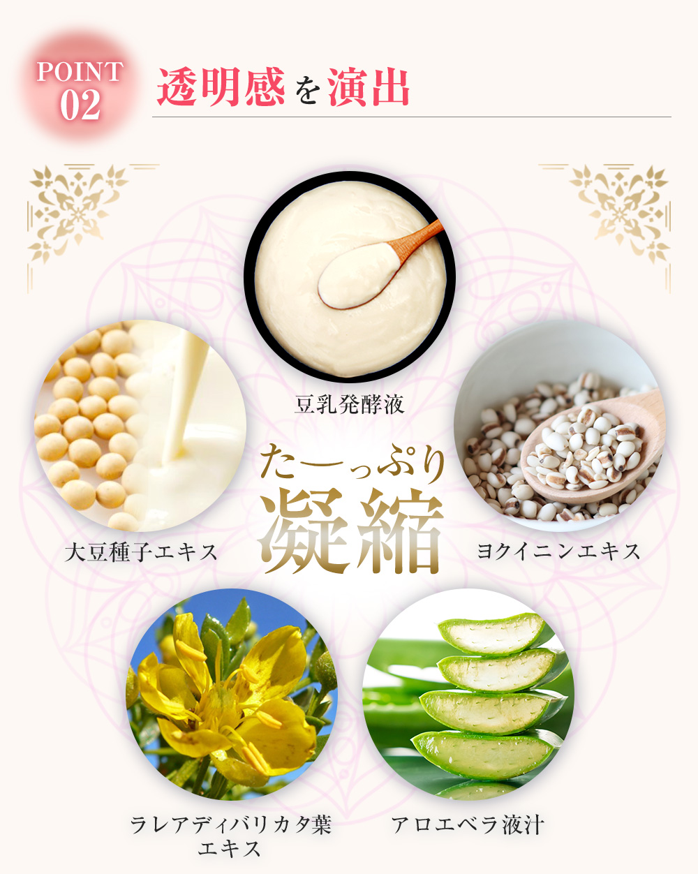 透明感を演出　豆乳発酵液　大豆種子エキス　ヨクイニンエキス　ラレアディバリカタ葉エキス　アロエベラ液汁
