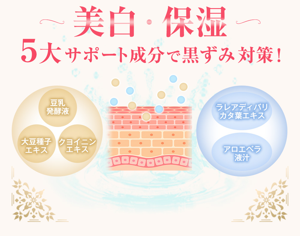 美白・保湿５大サポート成分で黒ずみ対策！豆乳発酵液　大豆種子エキス　ヨクイニンエキス　ラレアディバリカタ葉エキス　アロエベラ液汁