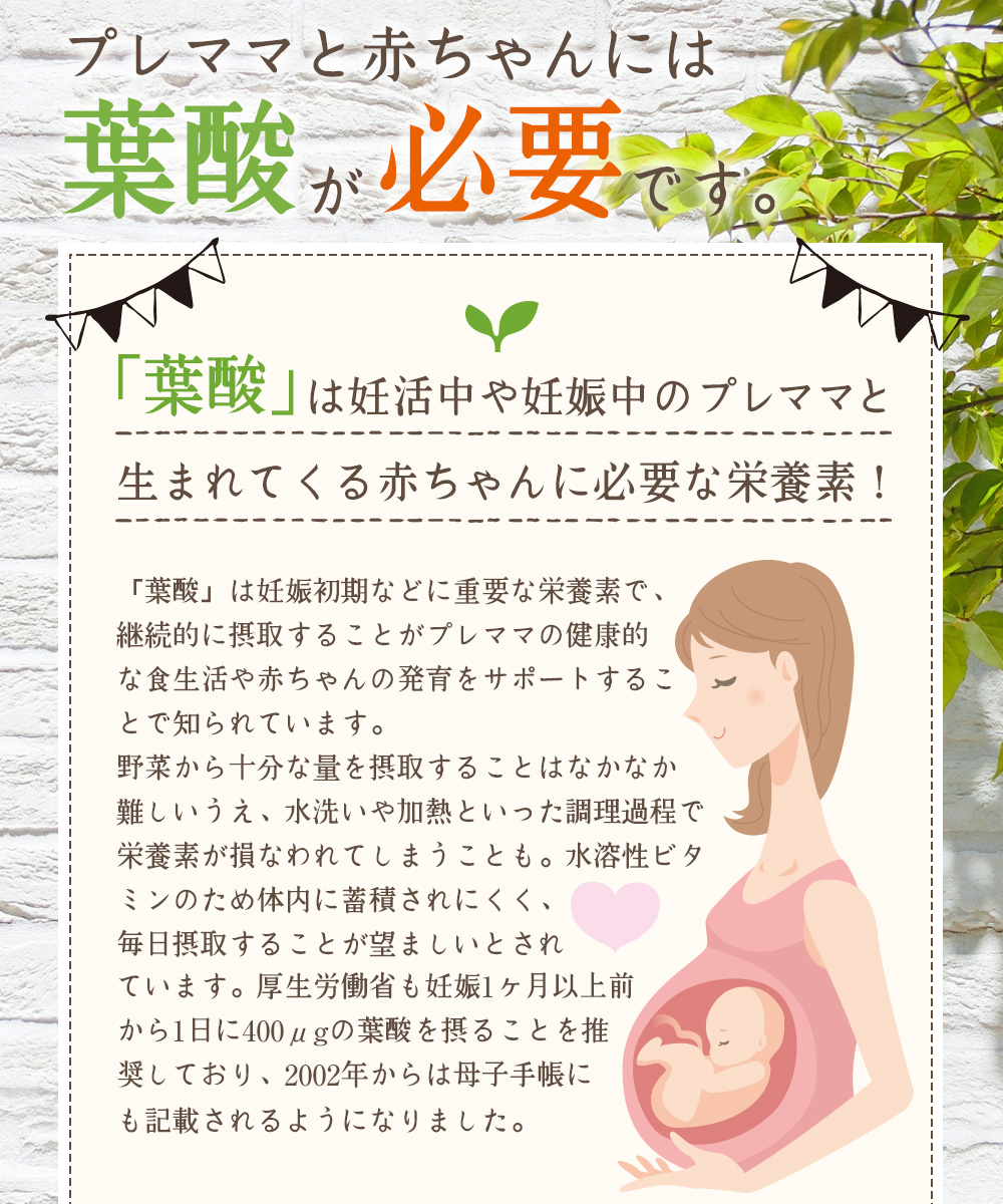 「葉酸」は妊活中や妊娠中のプレママと生まれてくる赤ちゃんに必要な栄養素！